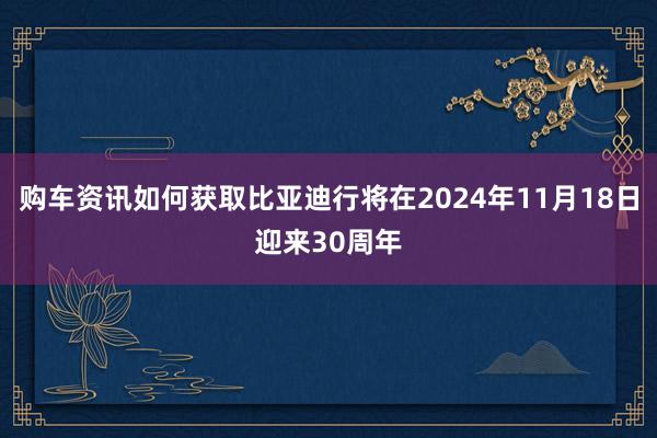 购车资讯如何获取比亚迪行将在2024年11月18日迎来30周年