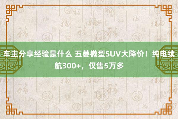 车主分享经验是什么 五菱微型SUV大降价！纯电续航300+，仅售5万多