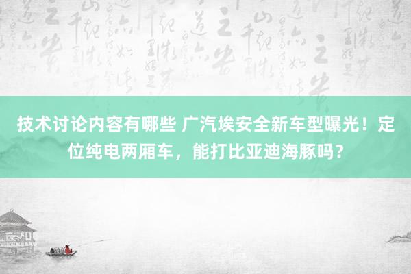 技术讨论内容有哪些 广汽埃安全新车型曝光！定位纯电两厢车，能打比亚迪海豚吗？