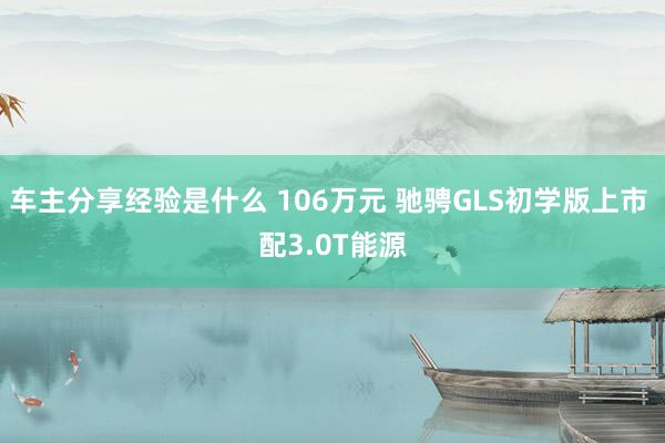 车主分享经验是什么 106万元 驰骋GLS初学版上市 配3.0T能源