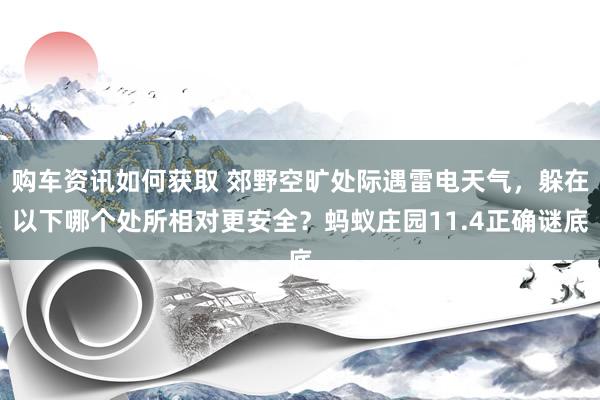 购车资讯如何获取 郊野空旷处际遇雷电天气，躲在以下哪个处所相对更安全？蚂蚁庄园11.4正确谜底