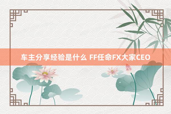 车主分享经验是什么 FF任命FX大家CEO