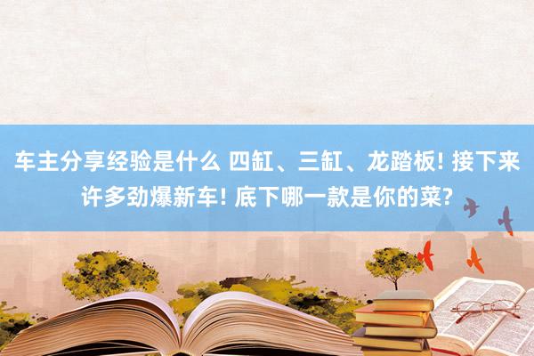 车主分享经验是什么 四缸、三缸、龙踏板! 接下来许多劲爆新车! 底下哪一款是你的菜?