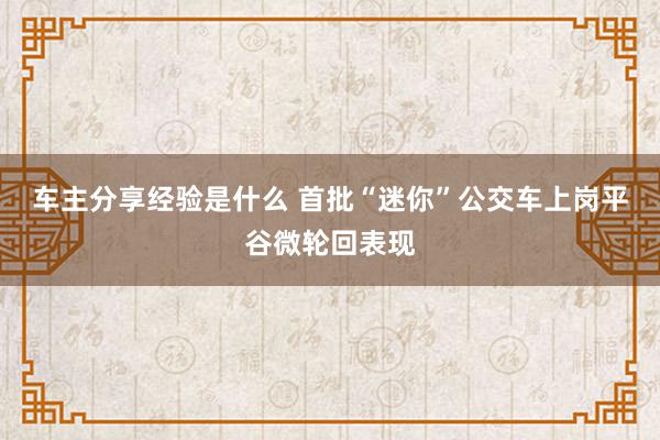 车主分享经验是什么 首批“迷你”公交车上岗平谷微轮回表现