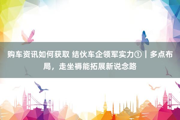 购车资讯如何获取 结伙车企领军实力①｜多点布局，走坐褥能拓展新说念路