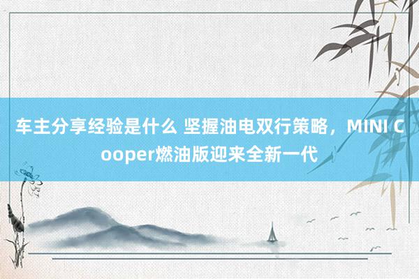 车主分享经验是什么 坚握油电双行策略，MINI Cooper燃油版迎来全新一代