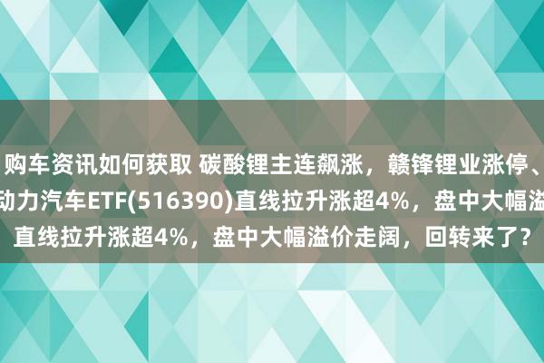 购车资讯如何获取 碳酸锂主连飙涨，赣锋锂业涨停、宁德时间涨3%，新动力汽车ETF(516390)直线拉升涨超4%，盘中大幅溢价走阔，回转来了？