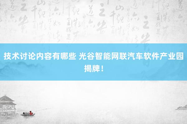 技术讨论内容有哪些 光谷智能网联汽车软件产业园揭牌！