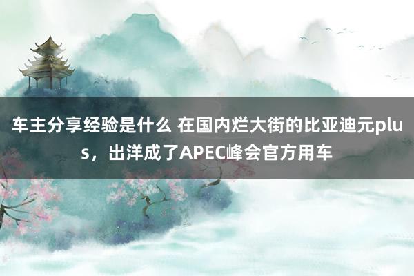 车主分享经验是什么 在国内烂大街的比亚迪元plus，出洋成了APEC峰会官方用车