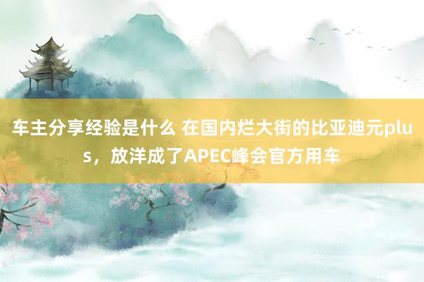 车主分享经验是什么 在国内烂大街的比亚迪元plus，放洋成了APEC峰会官方用车