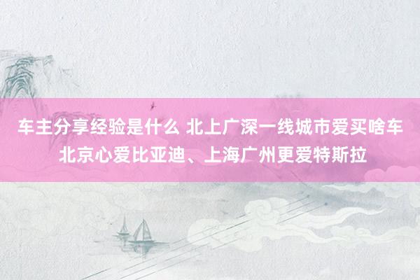 车主分享经验是什么 北上广深一线城市爱买啥车 北京心爱比亚迪、上海广州更爱特斯拉