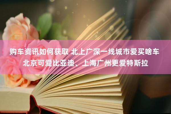 购车资讯如何获取 北上广深一线城市爱买啥车 北京可爱比亚迪、上海广州更爱特斯拉