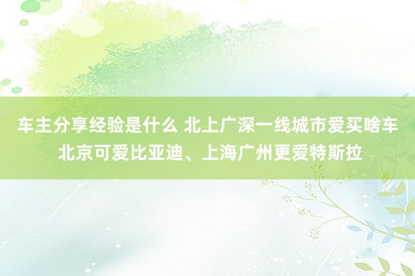 车主分享经验是什么 北上广深一线城市爱买啥车 北京可爱比亚迪、上海广州更爱特斯拉