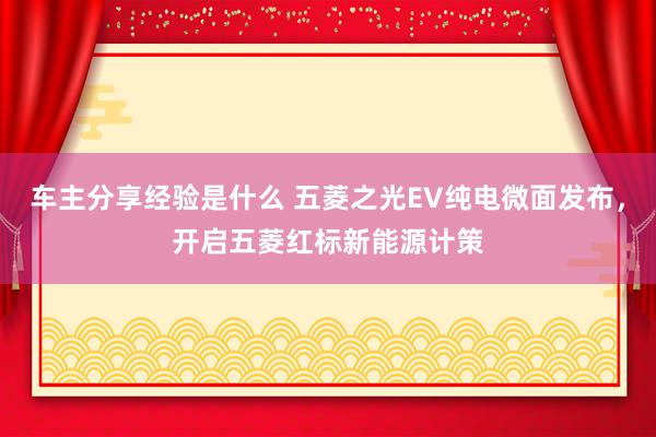 车主分享经验是什么 五菱之光EV纯电微面发布，开启五菱红标新能源计策