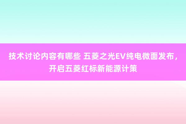 技术讨论内容有哪些 五菱之光EV纯电微面发布，开启五菱红标新能源计策