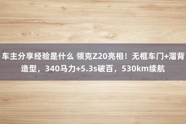 车主分享经验是什么 领克Z20亮相！无框车门+溜背造型，340马力+5.3s破百，530km续航