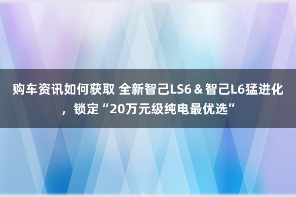 购车资讯如何获取 全新智己LS6＆智己L6猛进化，锁定“20万元级纯电最优选”