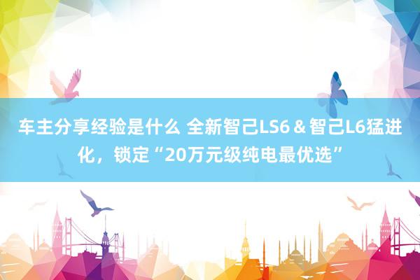 车主分享经验是什么 全新智己LS6＆智己L6猛进化，锁定“20万元级纯电最优选”