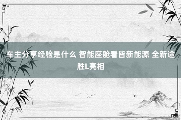 车主分享经验是什么 智能座舱看皆新能源 全新途胜L亮相