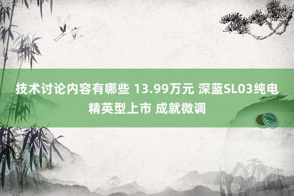 技术讨论内容有哪些 13.99万元 深蓝SL03纯电精英型上市 成就微调