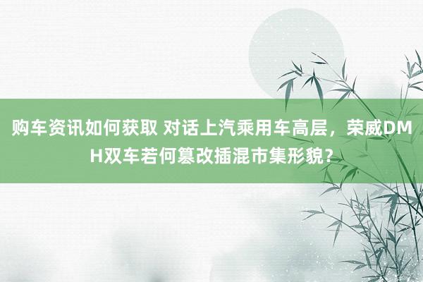 购车资讯如何获取 对话上汽乘用车高层，荣威DMH双车若何篡改插混市集形貌？