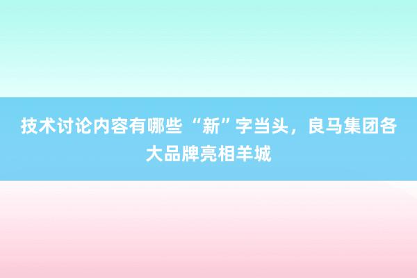 技术讨论内容有哪些 “新”字当头，良马集团各大品牌亮相羊城