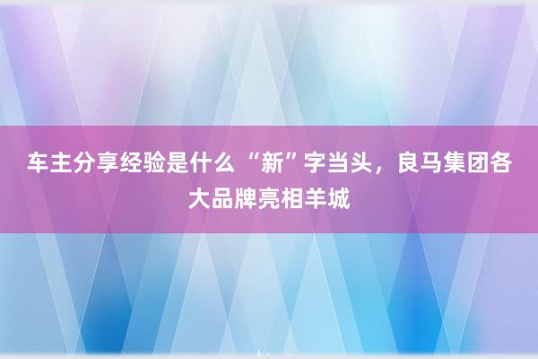 车主分享经验是什么 “新”字当头，良马集团各大品牌亮相羊城