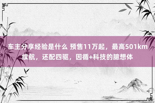 车主分享经验是什么 预售11万起，最高501km续航，还配四驱，因循+科技的臆想体