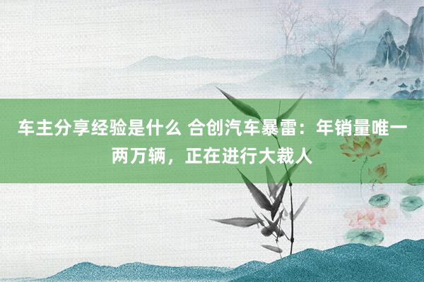 车主分享经验是什么 合创汽车暴雷：年销量唯一两万辆，正在进行大裁人