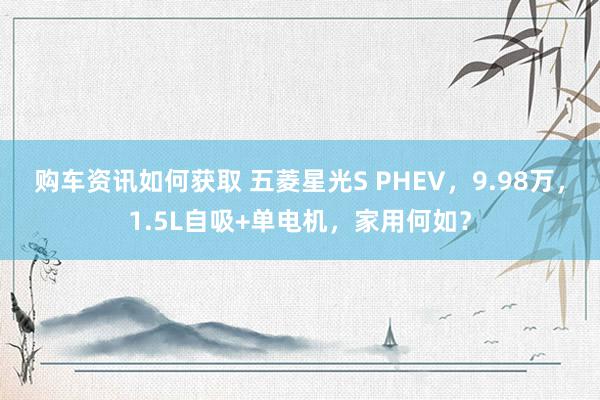 购车资讯如何获取 五菱星光S PHEV，9.98万，1.5L自吸+单电机，家用何如？