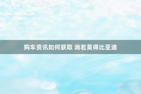 购车资讯如何获取 淌若莫得比亚迪