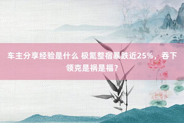 车主分享经验是什么 极氪整宿暴跌近25%，吞下领克是祸是福？