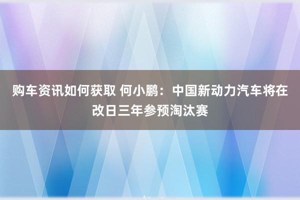 购车资讯如何获取 何小鹏：中国新动力汽车将在改日三年参预淘汰赛