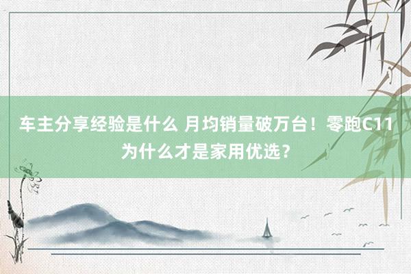 车主分享经验是什么 月均销量破万台！零跑C11为什么才是家用优选？