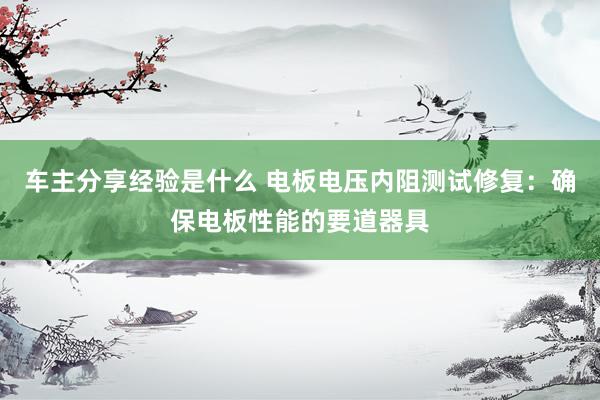 车主分享经验是什么 电板电压内阻测试修复：确保电板性能的要道器具