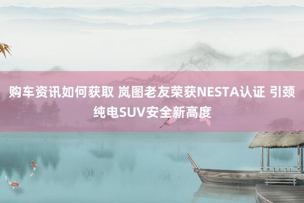 购车资讯如何获取 岚图老友荣获NESTA认证 引颈纯电SUV安全新高度