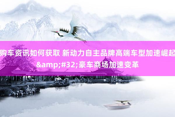 购车资讯如何获取 新动力自主品牌高端车型加速崛起&#32;豪车商场加速变革