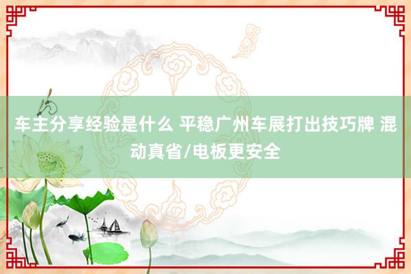 车主分享经验是什么 平稳广州车展打出技巧牌 混动真省/电板更安全