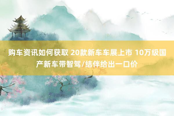 购车资讯如何获取 20款新车车展上市 10万级国产新车带智驾/结伴给出一口价