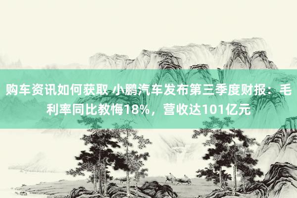 购车资讯如何获取 小鹏汽车发布第三季度财报：毛利率同比教悔18%，营收达101亿元