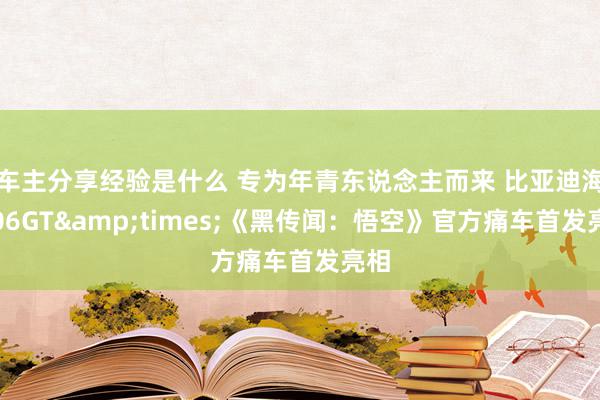 车主分享经验是什么 专为年青东说念主而来 比亚迪海豹06GT&times;《黑传闻：悟空》官方痛车首发亮相