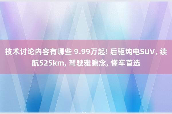 技术讨论内容有哪些 9.99万起! 后驱纯电SUV, 续航525km, 驾驶雅瞻念, 懂车首选