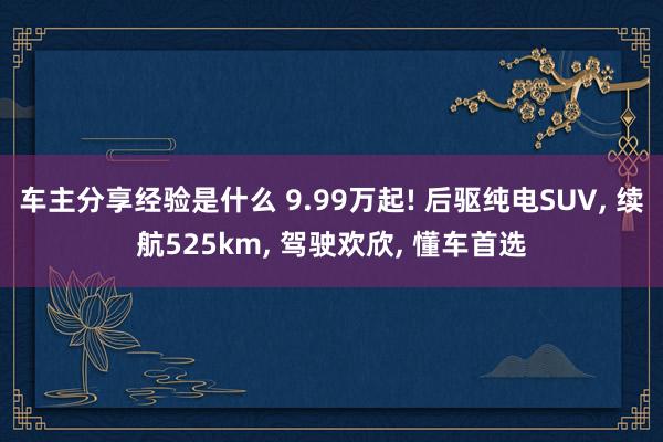 车主分享经验是什么 9.99万起! 后驱纯电SUV, 续航525km, 驾驶欢欣, 懂车首选