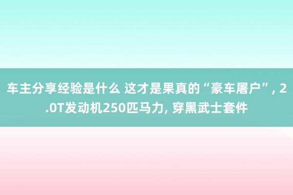 车主分享经验是什么 这才是果真的“豪车屠户”, 2.0T发动机250匹马力, 穿黑武士套件