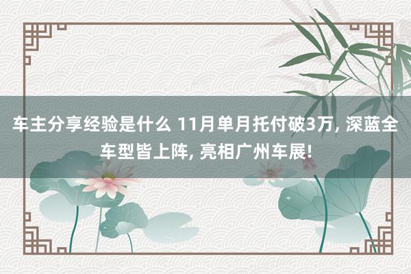 车主分享经验是什么 11月单月托付破3万, 深蓝全车型皆上阵, 亮相广州车展!