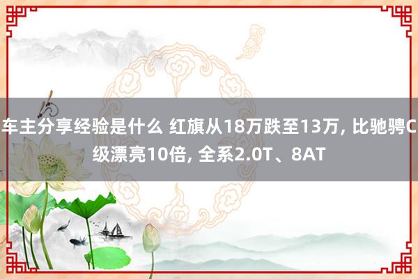 车主分享经验是什么 红旗从18万跌至13万, 比驰骋C级漂亮10倍, 全系2.0T、8AT