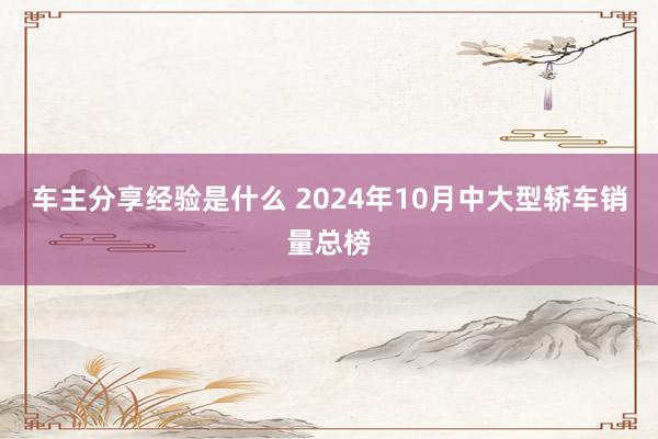 车主分享经验是什么 2024年10月中大型轿车销量总榜