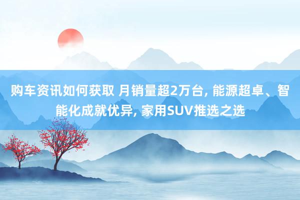 购车资讯如何获取 月销量超2万台, 能源超卓、智能化成就优异, 家用SUV推选之选