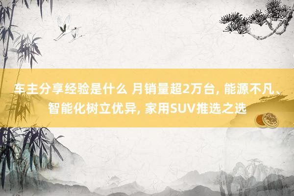 车主分享经验是什么 月销量超2万台, 能源不凡、智能化树立优异, 家用SUV推选之选