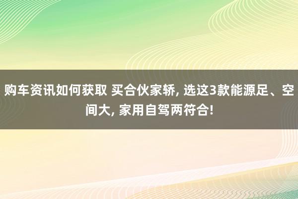 购车资讯如何获取 买合伙家轿, 选这3款能源足、空间大, 家用自驾两符合!